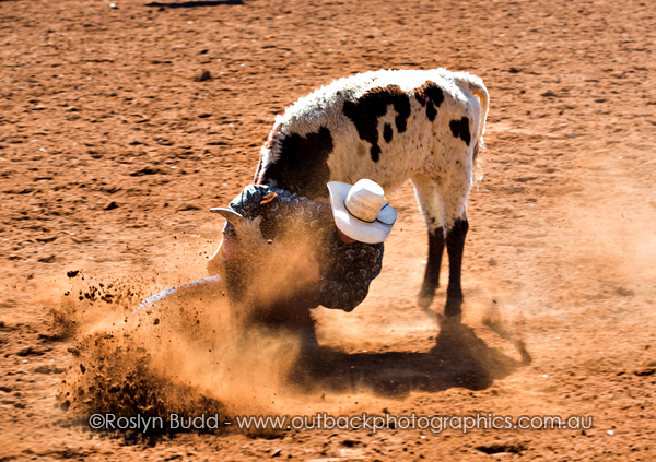 ©Roslyn Budd - www.buddphotography.com.au