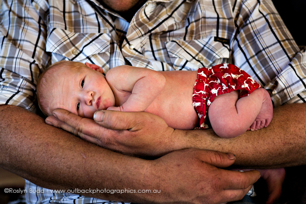 ©Roslyn Budd - www.buddphotography.com.au