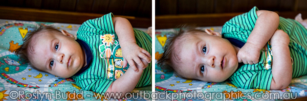 ©Roslyn Budd - www.buddphotography.com.au