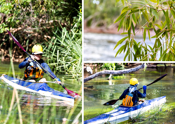 ©Roslyn Budd - www.buddphotography.com.au