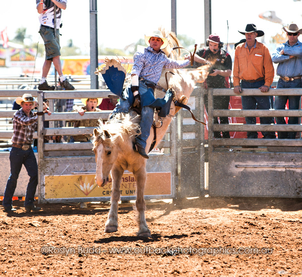 ©Roslyn Budd - www.buddphotography.com.au