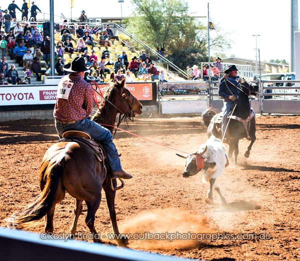 ©Roslyn Budd - www.buddphotography.com.au