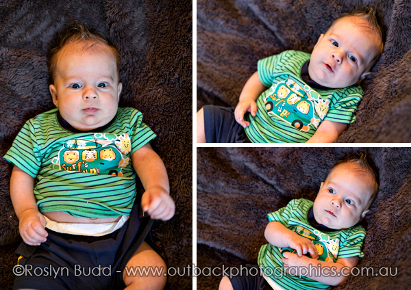 ©Roslyn Budd - www.buddphotography.com.au