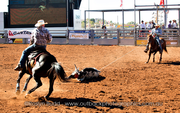 ©Roslyn Budd - www.buddphotography.com.au