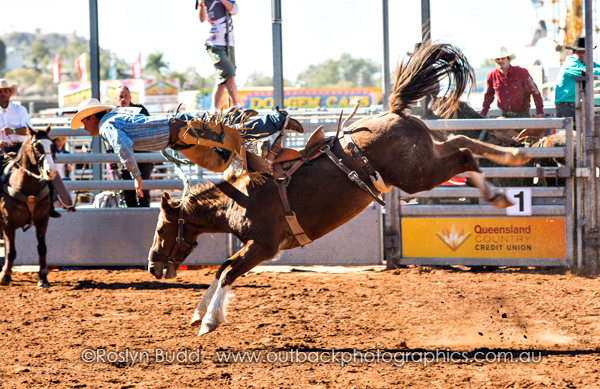 ©Roslyn Budd - www.buddphotography.com.au