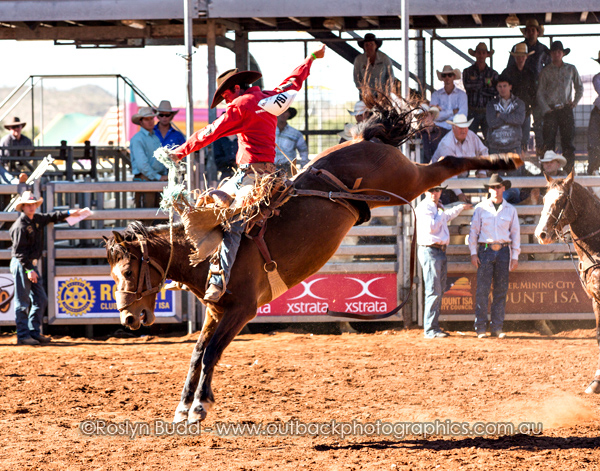 ©Roslyn Budd - www.buddphotography.com.au