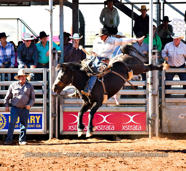 ©Roslyn Budd - www.buddphotography.com.au