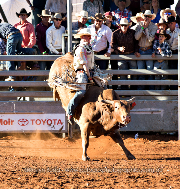 ©Roslyn Budd - www.buddphotography.com.au