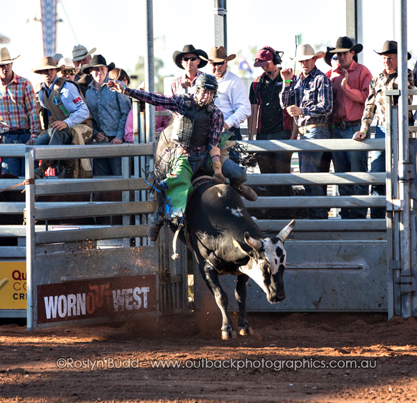 ©Roslyn Budd - www.buddphotography.com.au