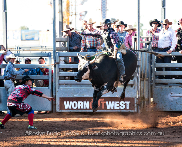 ©Roslyn Budd - www.buddphotography.com.au