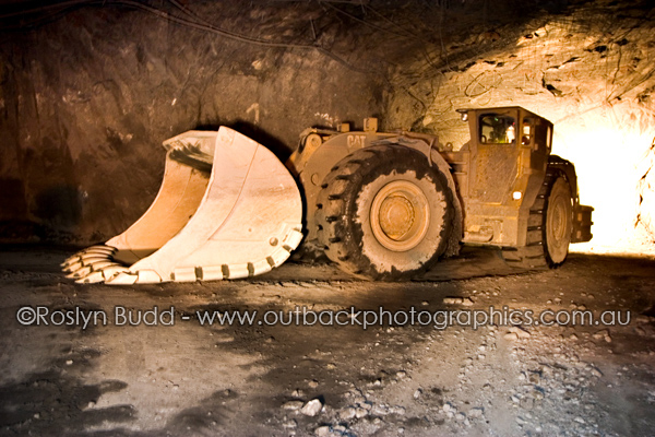 ©Roslyn Budd - www.buddphotography.com.au