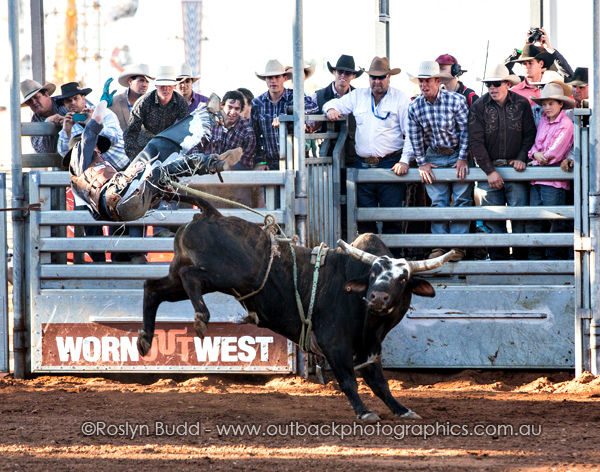 ©Roslyn Budd - www.buddphotography.com.au