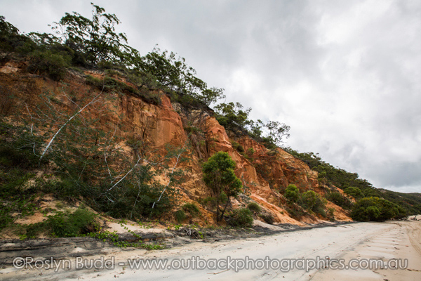 0096_Elim Beach_Cooktown