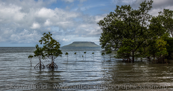 0097_Elim Beach_Cooktown