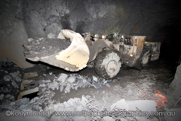 ©Roslyn Budd - www.buddphotography.com.au