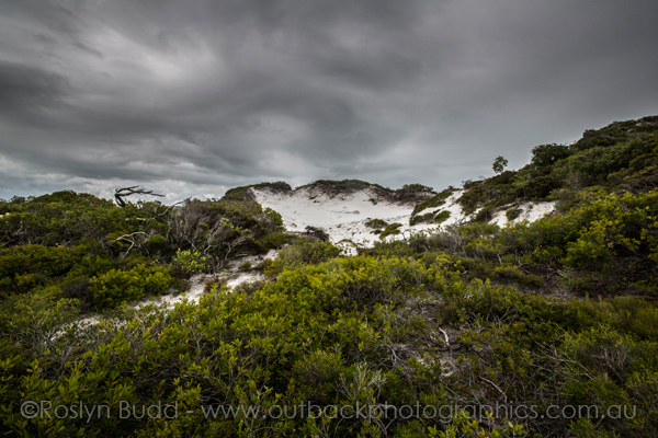 0105_Elim Beach_Cooktown
