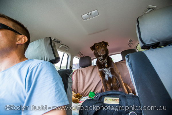 0108_Lions Den Hotel