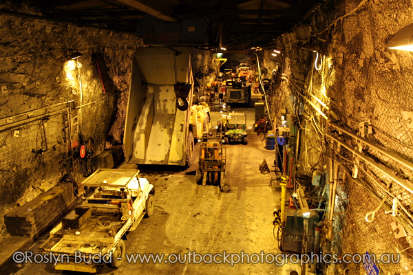 ©Roslyn Budd - www.buddphotography.com.au