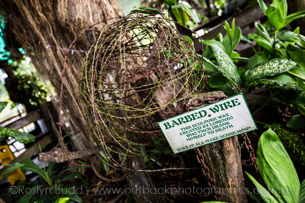 0115_Lions Den Hotel