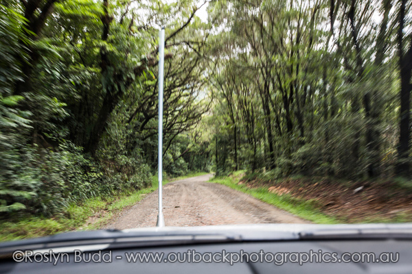 0116_Bloomfield Track