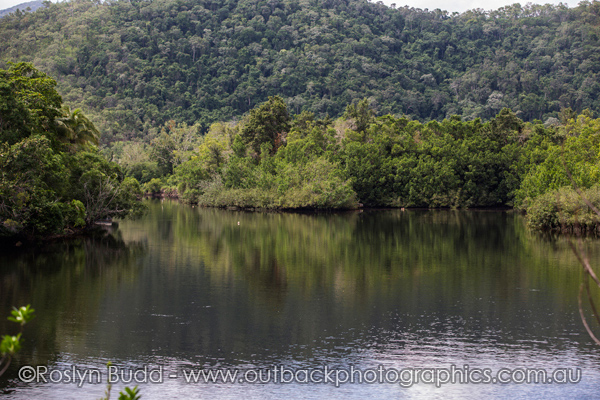 0118_Bloomfield Track