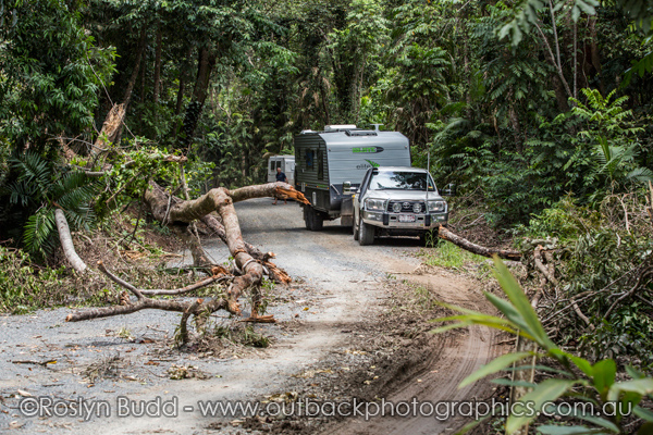 0122_Daintree_Cape Tribulation