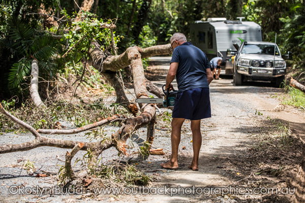 0123_Daintree_Cape Tribulation