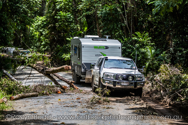 0124_Daintree_Cape Tribulation