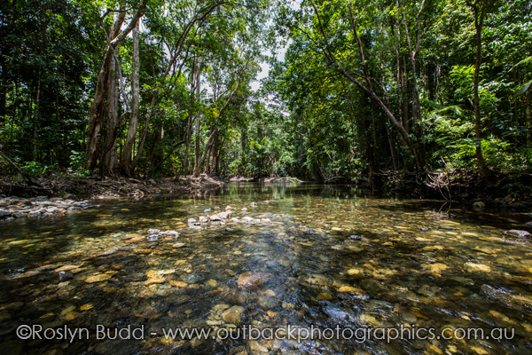0125_Daintree_Cape Tribulation