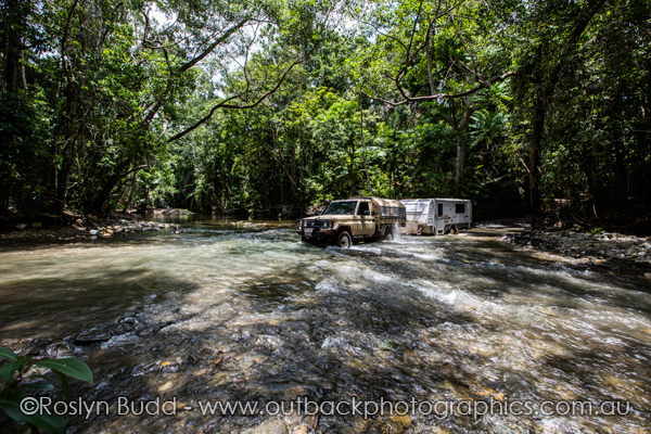 0127_Daintree_Cape Tribulation