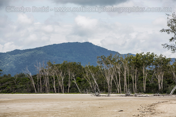 0133_Cairns North Beaches