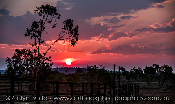 ©Roslyn Budd - www.buddphotography.com.au
