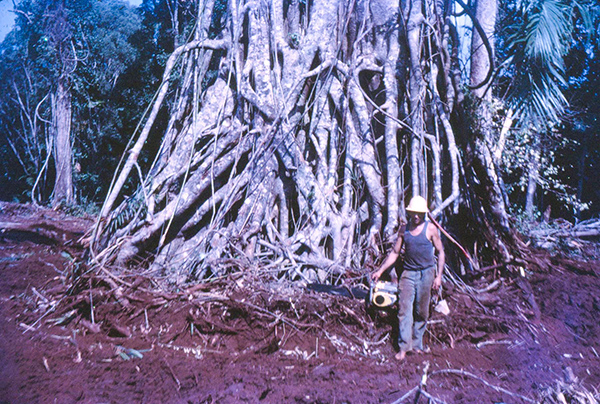 028_Sultana 50th Wedding