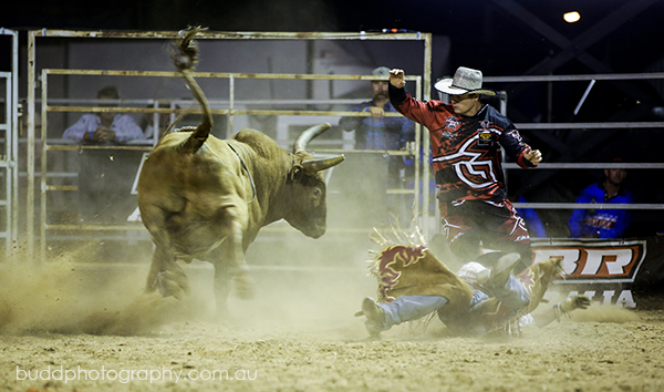 ©Roslyn Budd - www.buddphotography.com.au