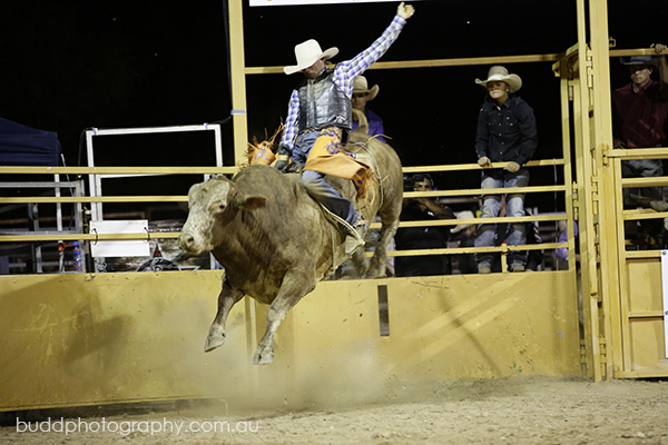 ©Roslyn Budd - www.buddphotography.com.au