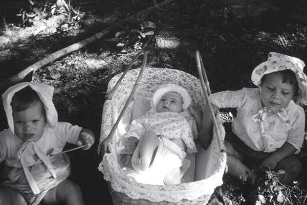 036_Sultana 50th Wedding