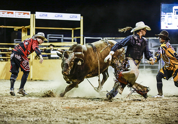 ©Roslyn Budd - www.buddphotography.com.au