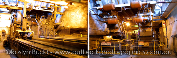 ©Roslyn Budd - www.buddphotography.com.au