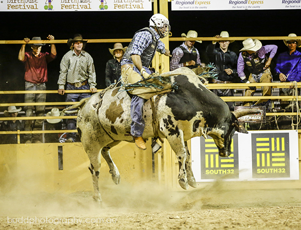©Roslyn Budd - www.buddphotography.com.au