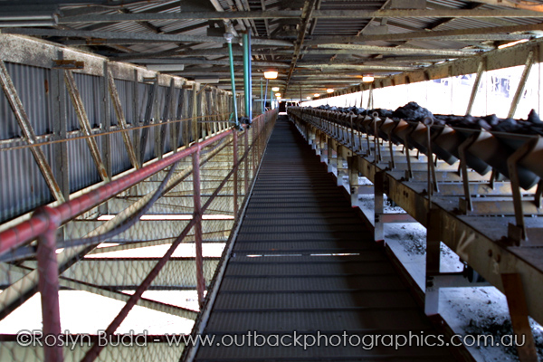 ©Roslyn Budd - www.buddphotography.com.au