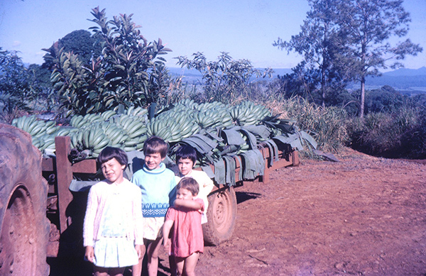 045_Sultana 50th Wedding