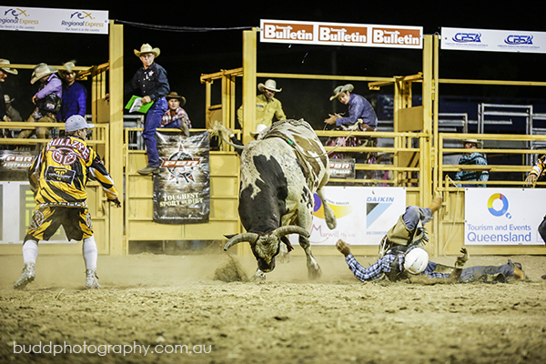 ©Roslyn Budd - www.buddphotography.com.au