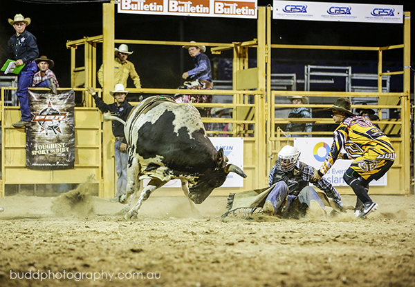 ©Roslyn Budd - www.buddphotography.com.au