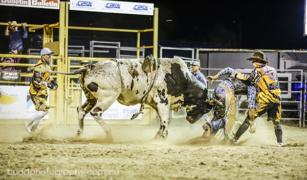 ©Roslyn Budd - www.buddphotography.com.au
