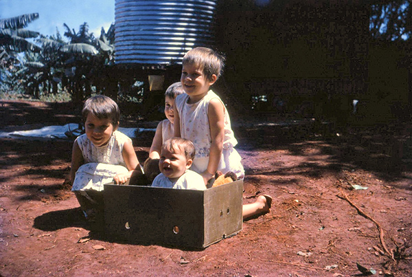 048_Sultana 50th Wedding