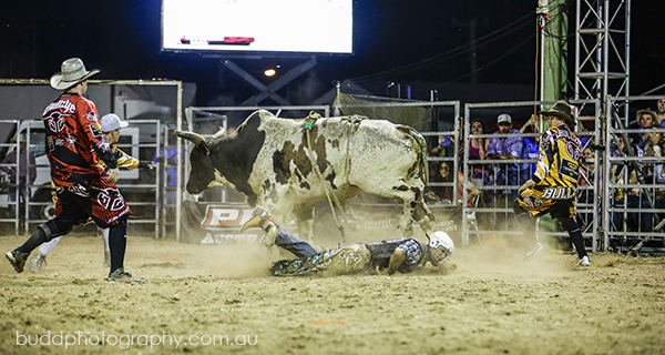 ©Roslyn Budd - www.buddphotography.com.au