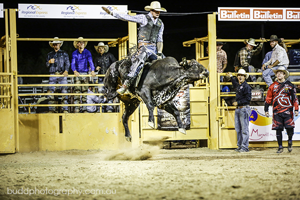 ©Roslyn Budd - www.buddphotography.com.au