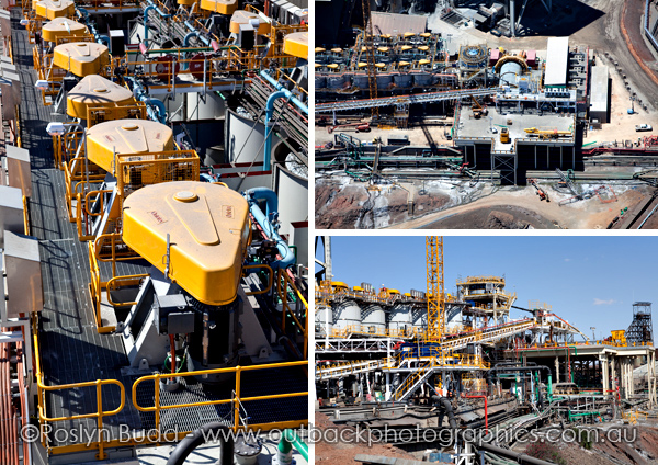 ©Roslyn Budd - www.buddphotography.com.au