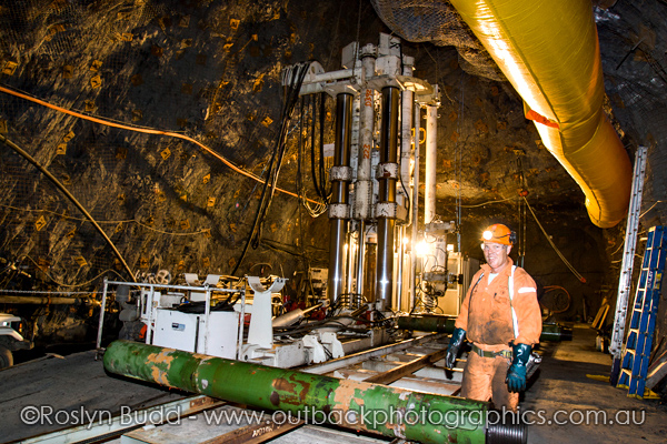 ©Roslyn Budd - www.buddphotography.com.au