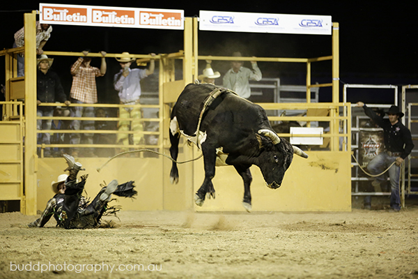 ©Roslyn Budd - www.buddphotography.com.au